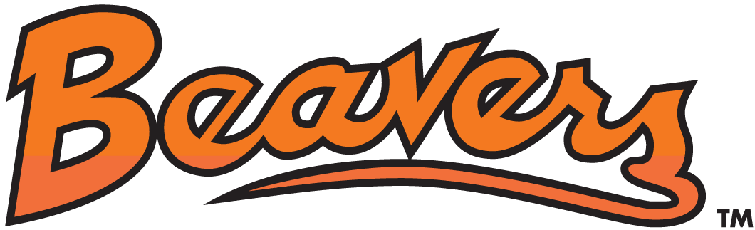 Oregon State Beavers 1979-1996 Wordmark Logo diy fabric transfer